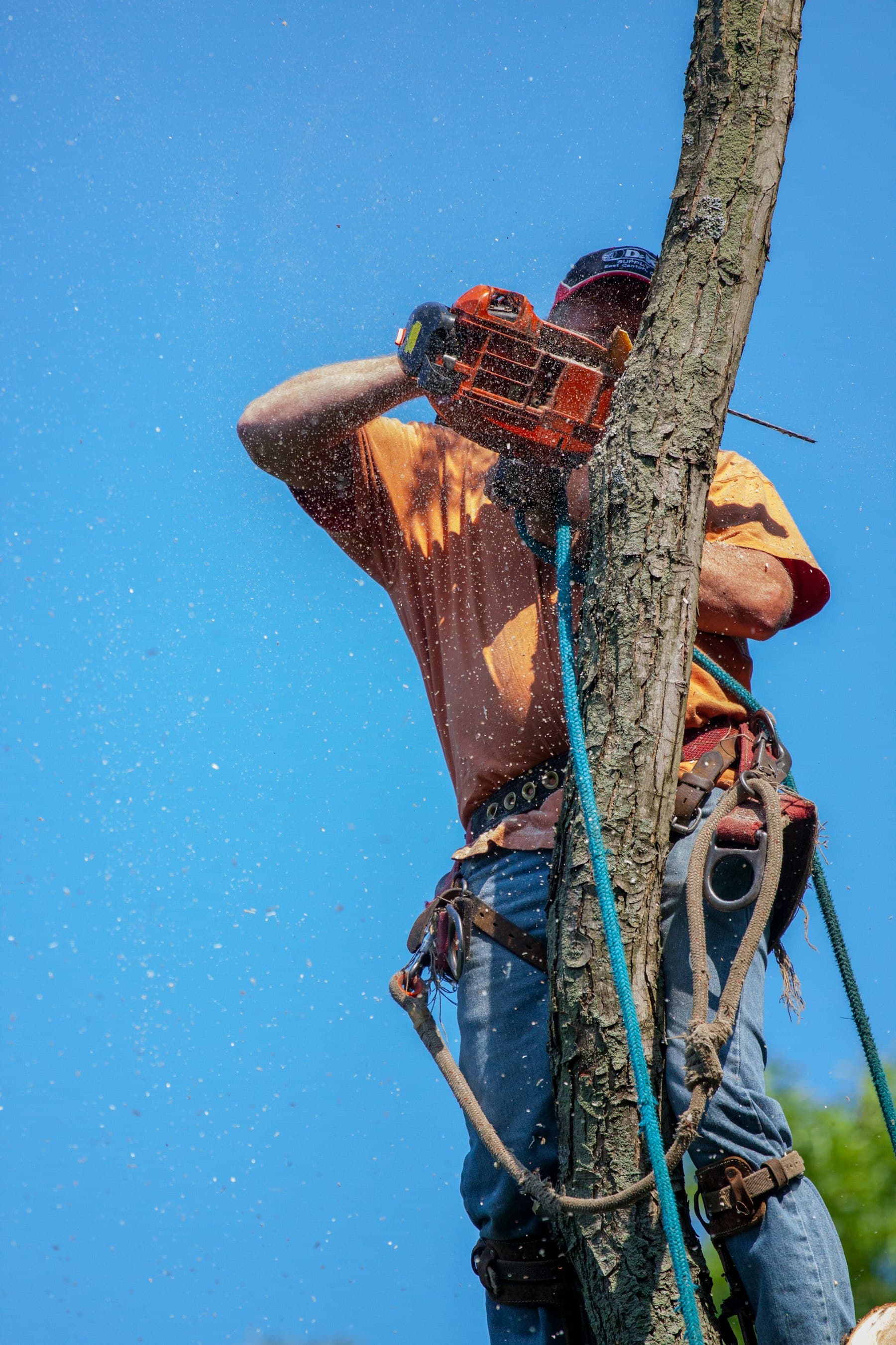 Élagueur tronçonnant une branche sous un ciel bleu